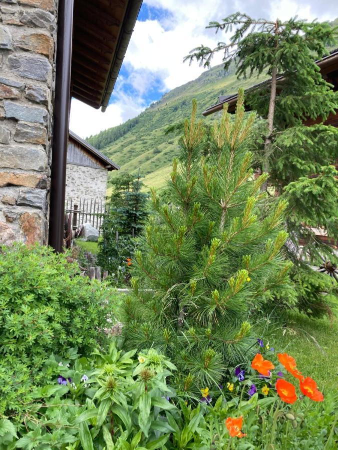 Dreihaeuser Obergurgl Esterno foto